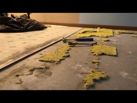 Removing Old Carpet Padding Stuck To Wood Floor