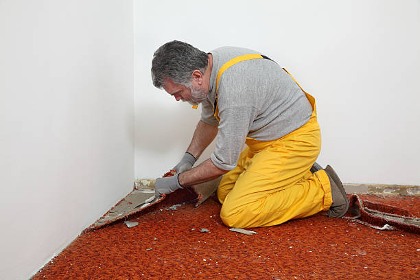 Removing Old Carpet Padding Stuck To Wood Floor