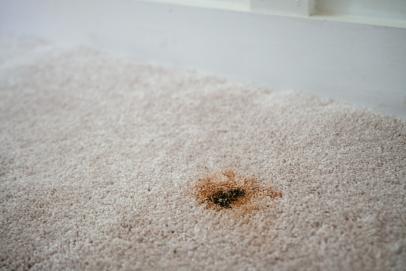 Repair Carpet Damage By Pets