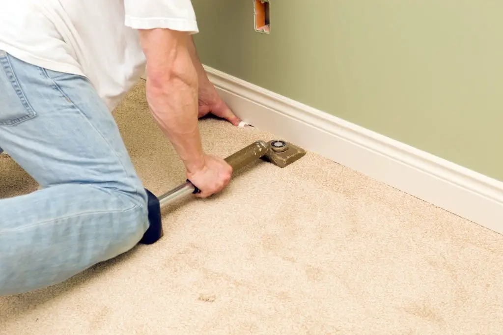 Repair Carpet Damage By Pets