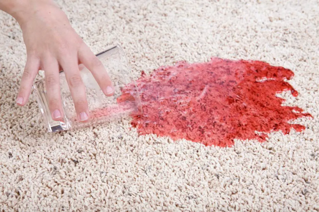 Wool Carpet Pros And Cons