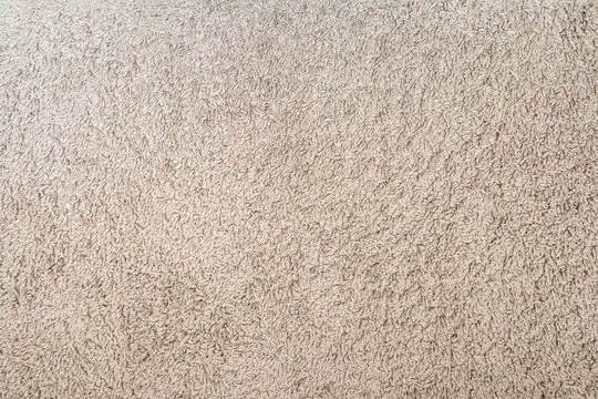 Wool Carpet Pros And Cons