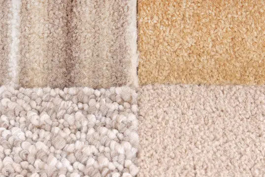 Wool vs Nylon Carpet