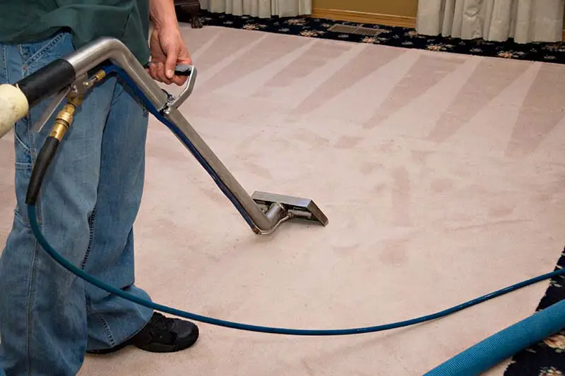 Polyester Carpet vs Polypropylene