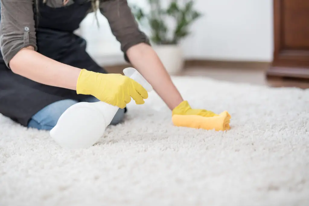 How To Get Blood Out Of Carpet