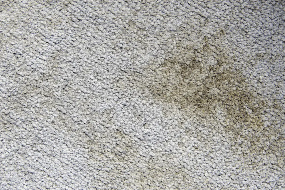 Types Of Carpet Damage