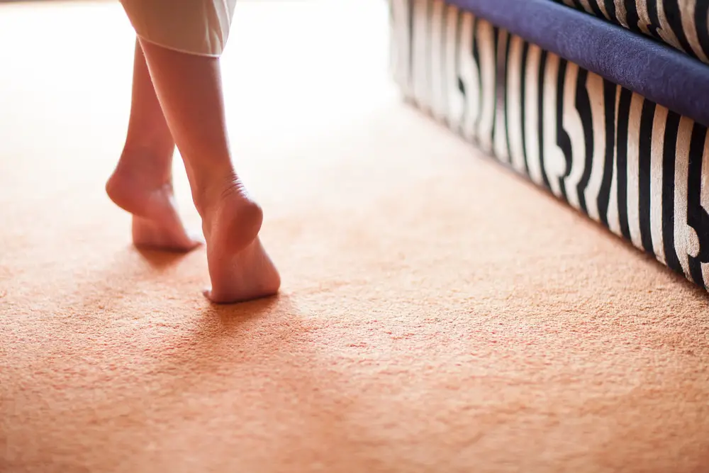 Nylon Carpet vs Polyester