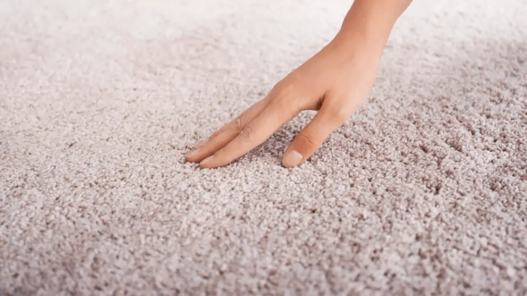 Olefin Carpet Pros And Cons