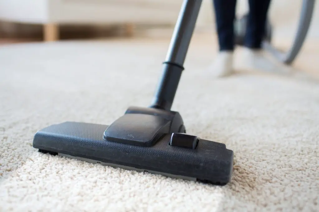 How To Clean Nylon Carpet