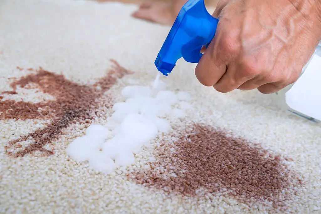 How To Clean Nylon Carpet