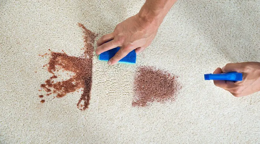 Nylon Carpet Pros And Cons