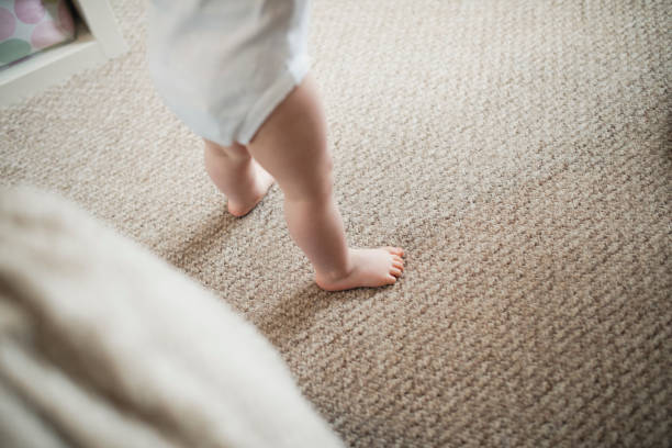 Polyester Carpet Pros And Cons