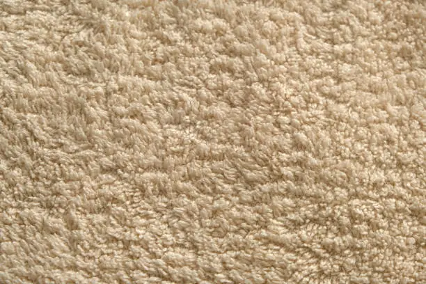 Polyester Carpet vs Polypropylene