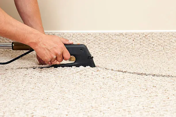 Repair Carpet Damage By Pets