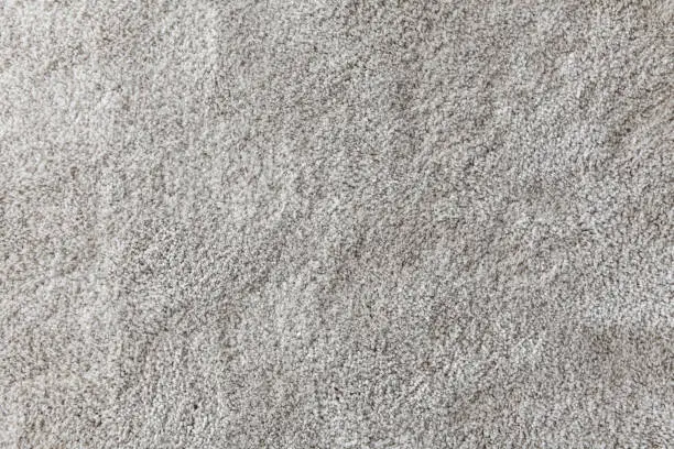 Wool Carpet Pros And Cons