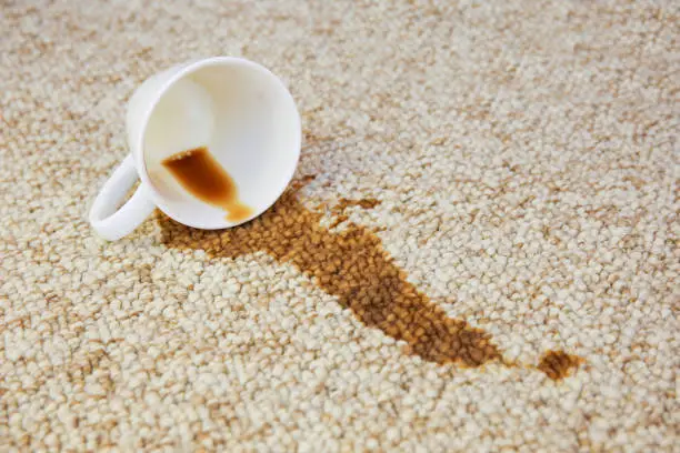 Remove Old Coffee Stains From Carpet