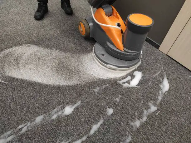 Steam Cleaning Carpets VS. Shampooing