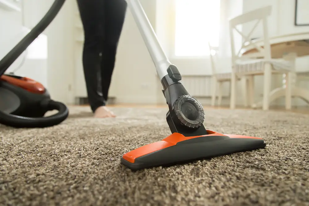 Carpet Cleaning Techniques