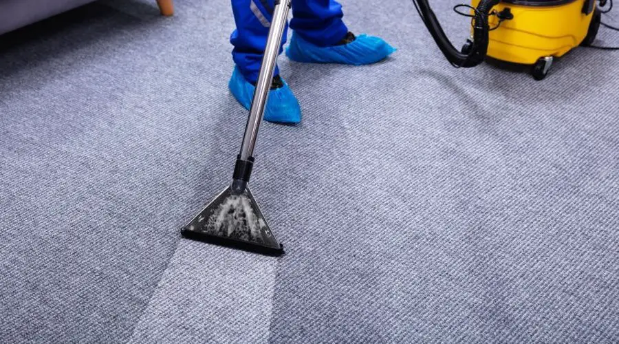 Carpet Cleaning Cost