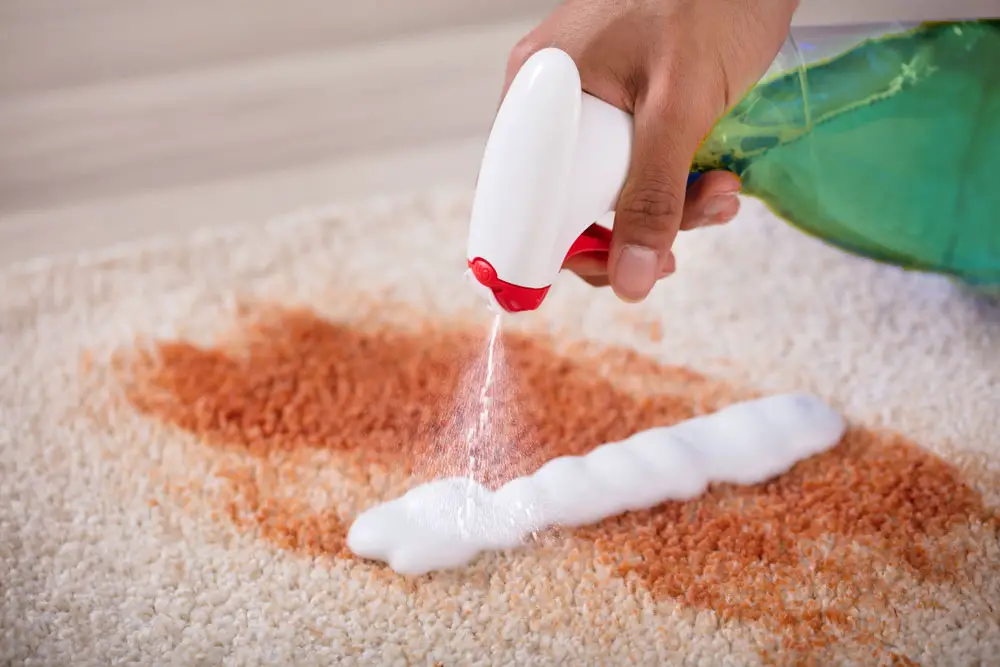 Get Old Stains Out Of Carpet With Baking Soda