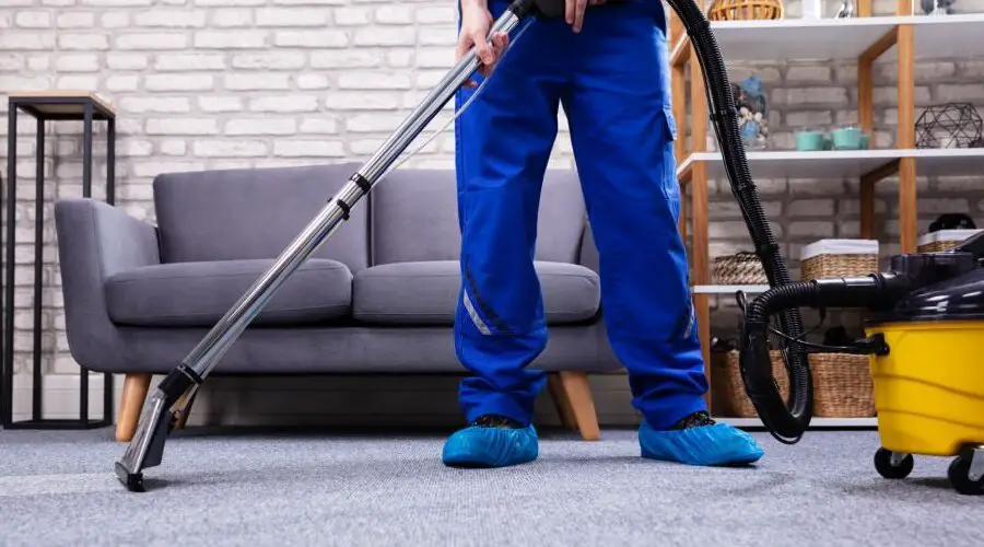 Carpet Cleaning Techniques