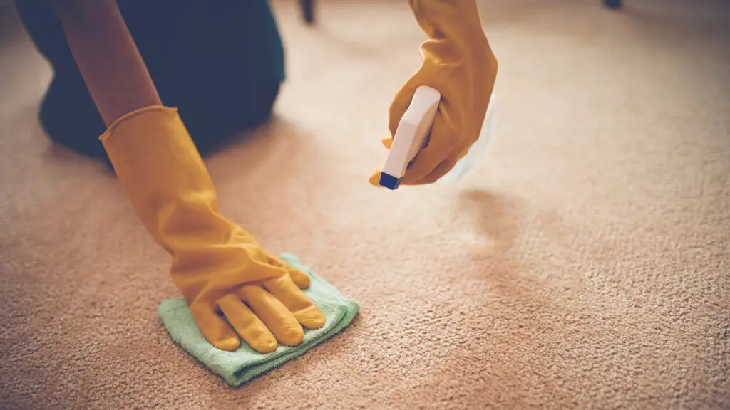  Get Brown Stains Out Of Carpet