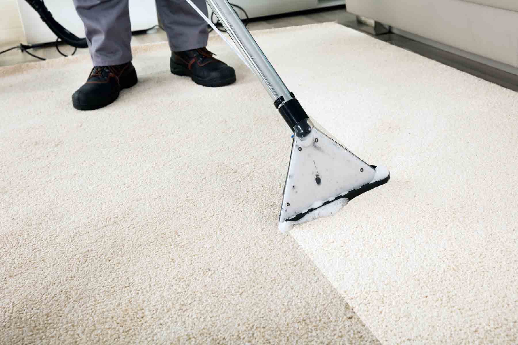 Carpet Cleaning Cost