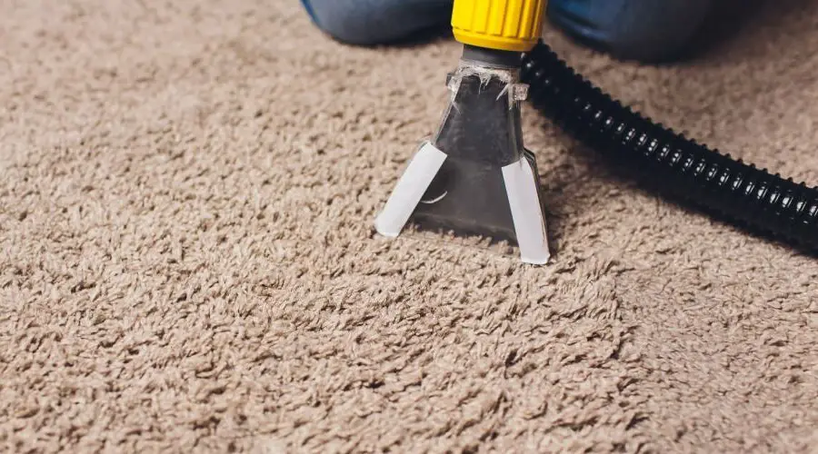 Carpet Cleaning Cost