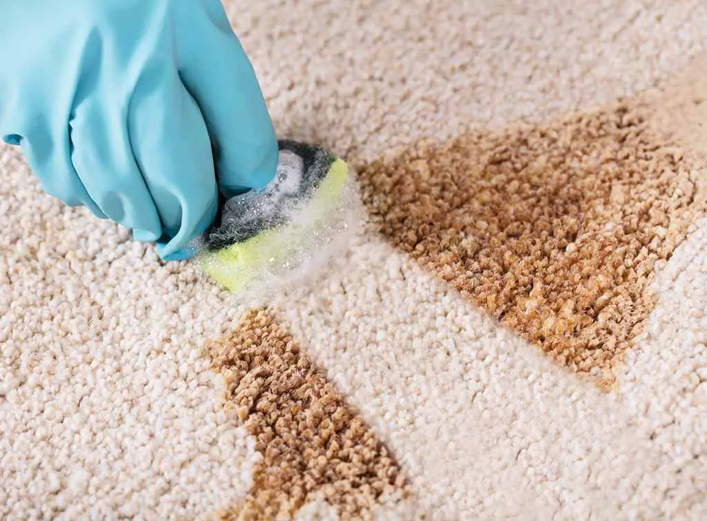 Remove Old Coffee Stains From Carpet