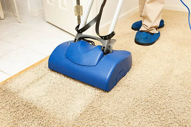 Carpet Cleaning Techniques