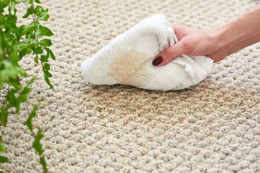 Remove Old Coffee Stains From Carpet