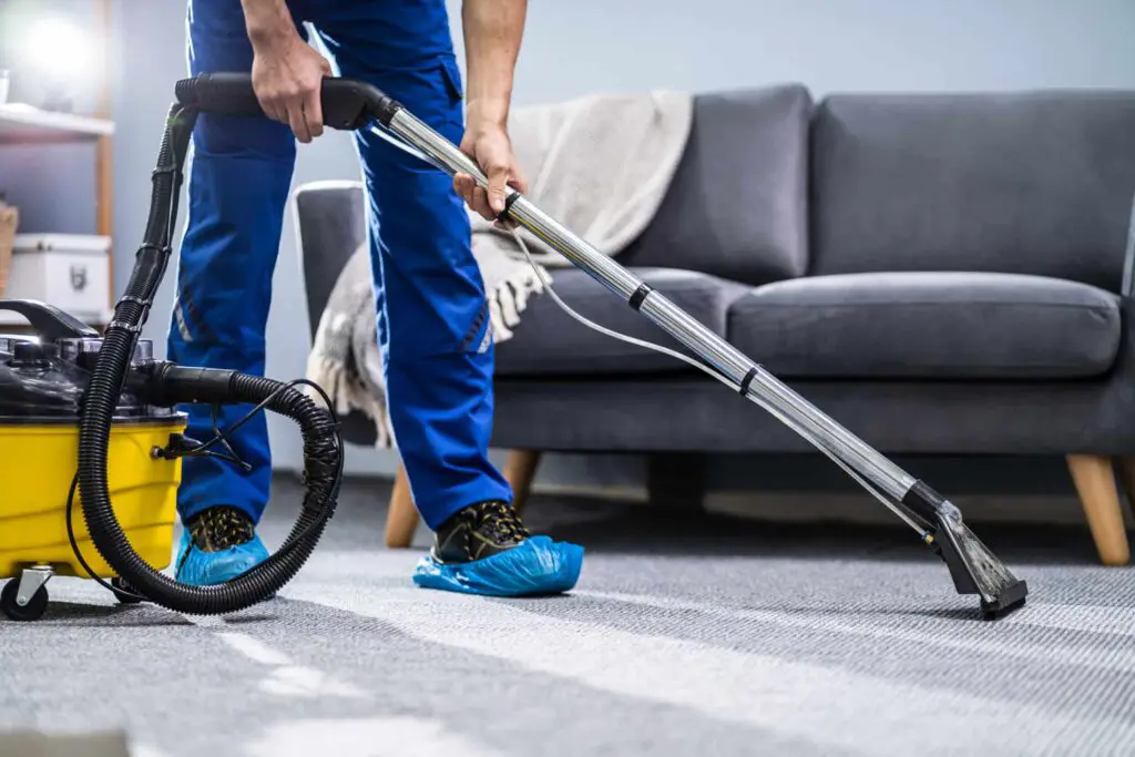 Steam Cleaning Carpets VS. Shampooing