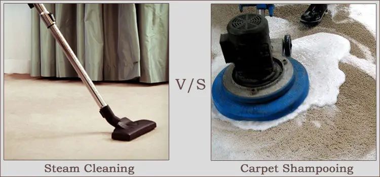 Steam Cleaning Carpets VS. Shampooing