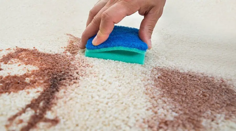 Get Old Stains Out Of Carpet With Baking Soda