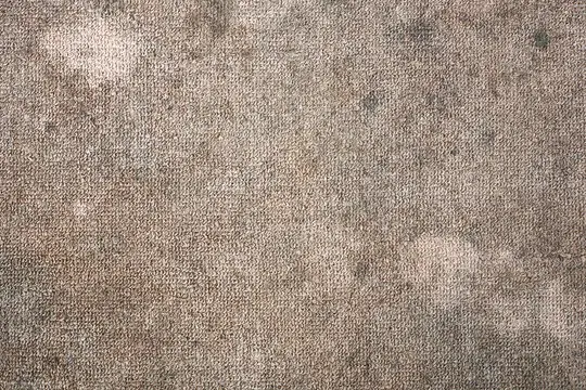 Fixing Frayed Carpet in Doorway