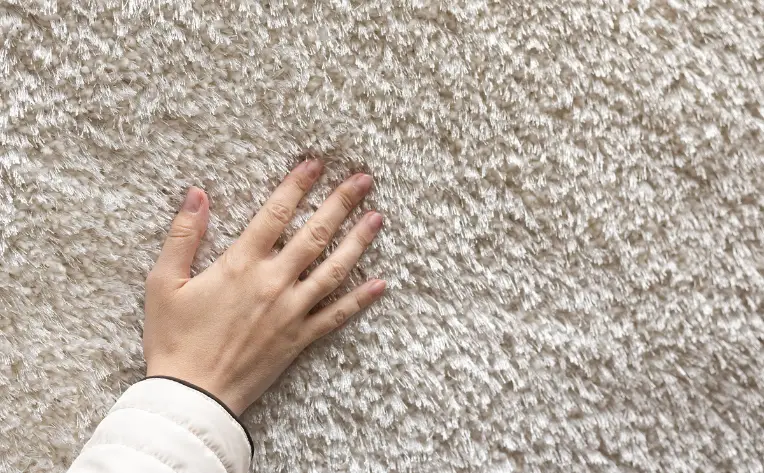 Should Carpet Be Replaced After Water Damage
