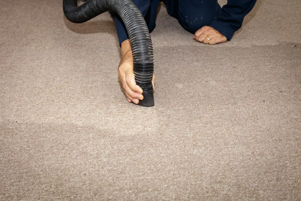 Should Carpet Be Replaced After Water Damage