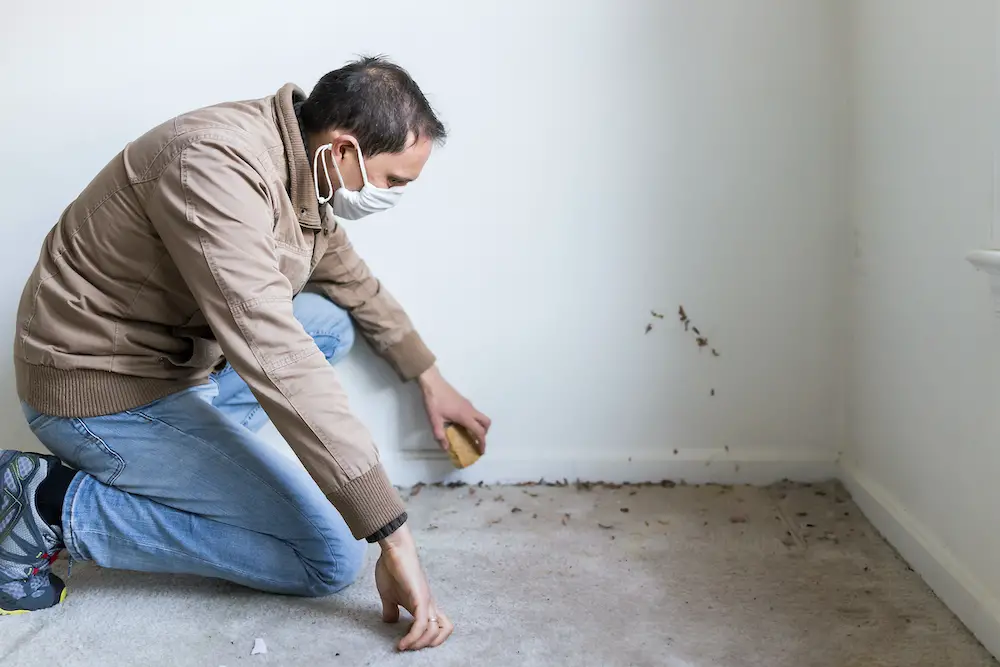 Carpet Water Damage