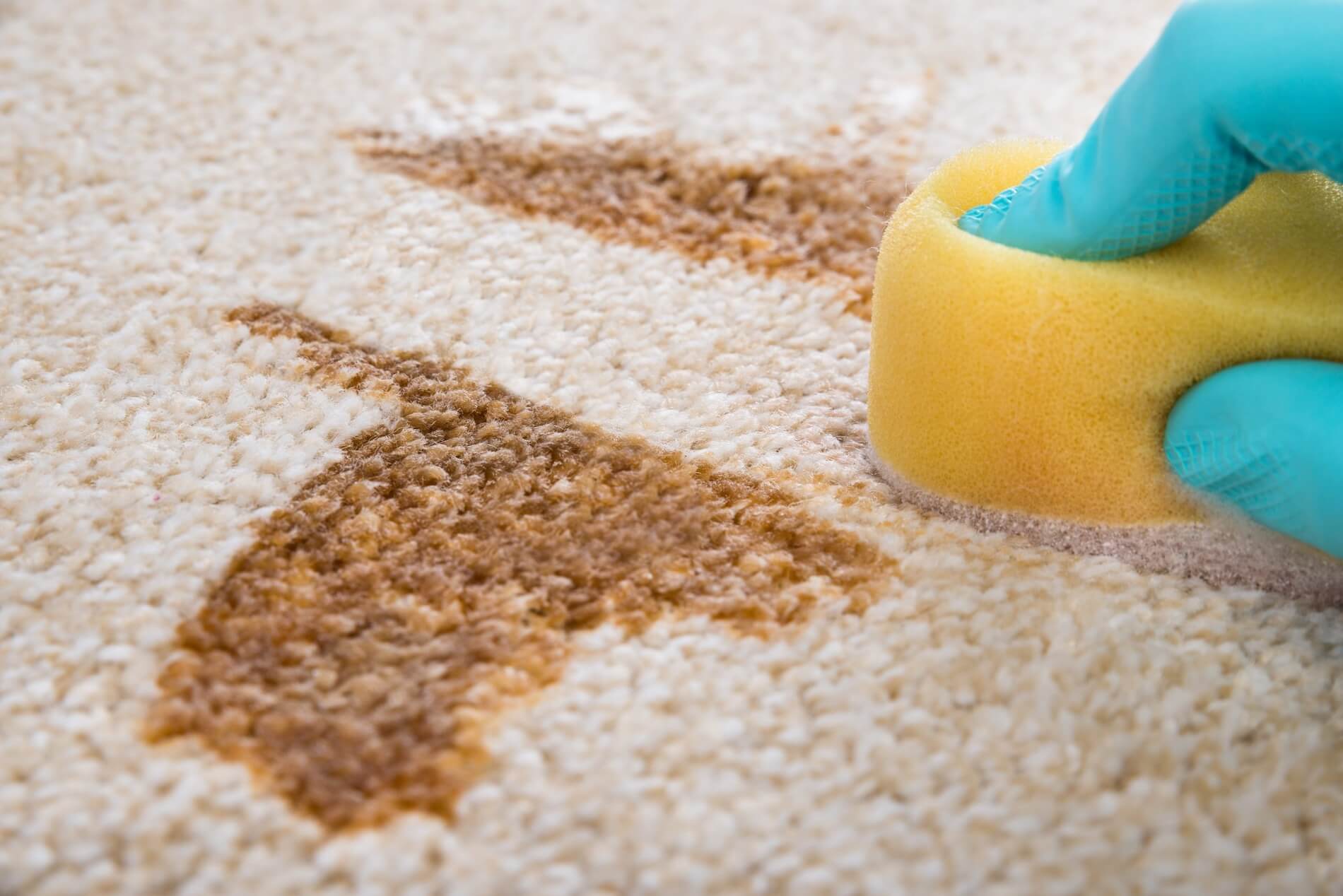 Carpet Stains That Keep Coming Back
