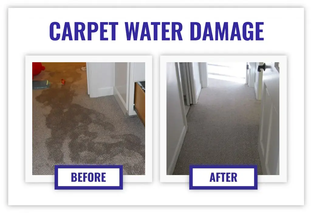 Should Carpet Be Replaced After Water Damage