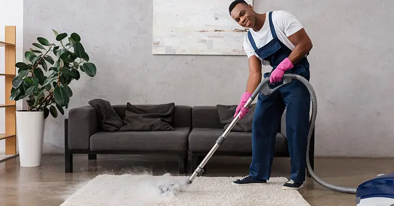 How Carpet Cleaners Work