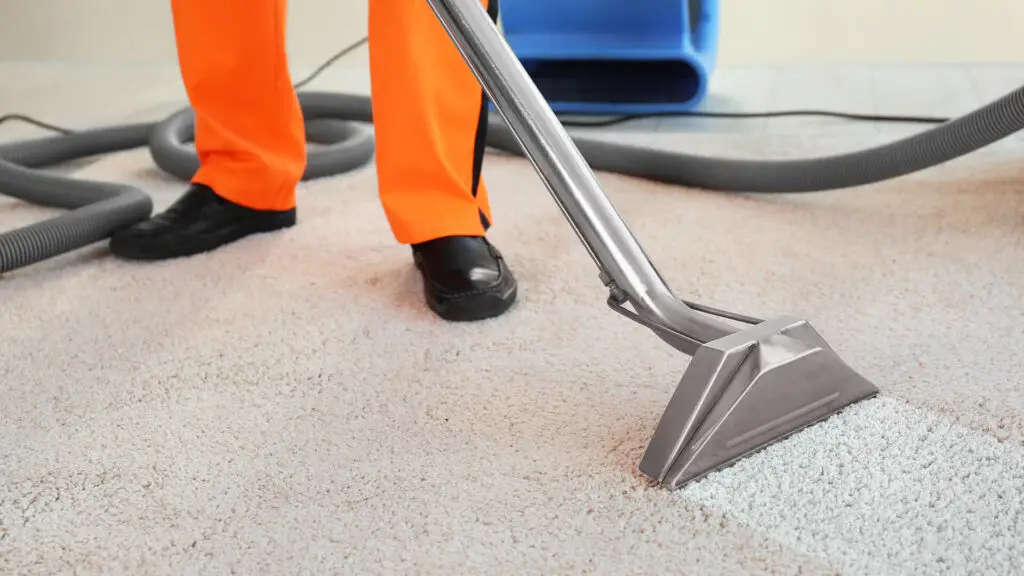 Carpet Water Damage