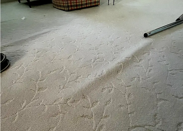 Carpet Ripples and Buckling