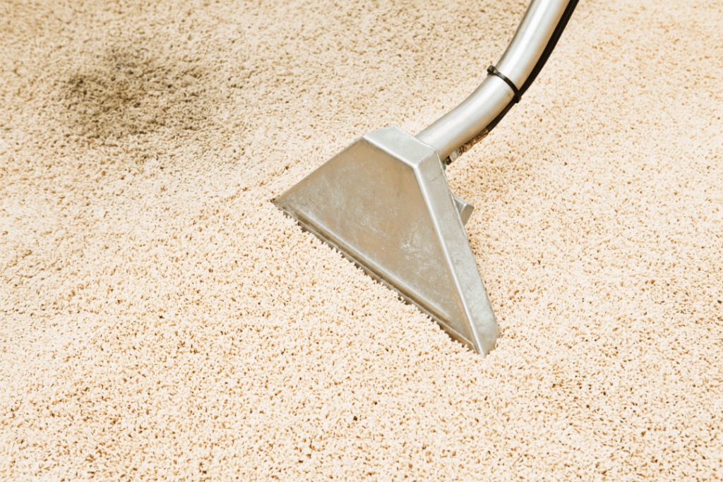Carpet Stains That Keep Coming Back