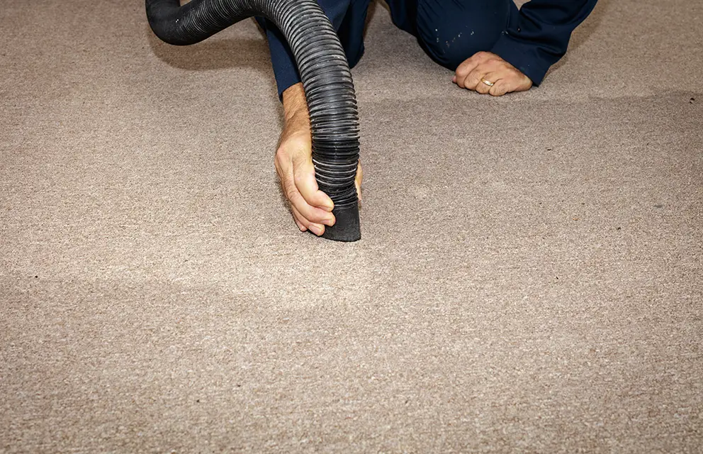 Carpet Water Damage