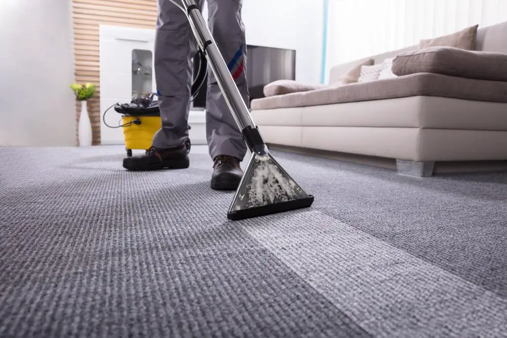 How Carpet Cleaners Work