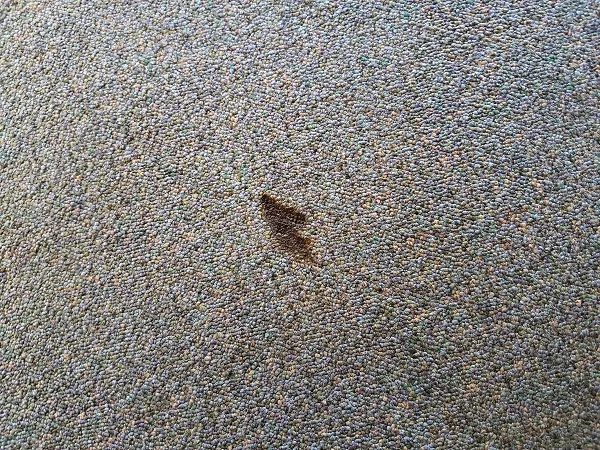 How to Fix Cigarette Burns in Carpet