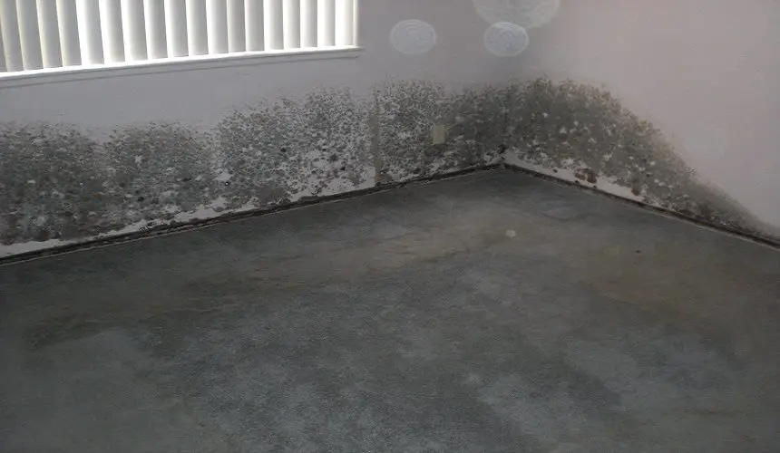 Carpet Water Damage