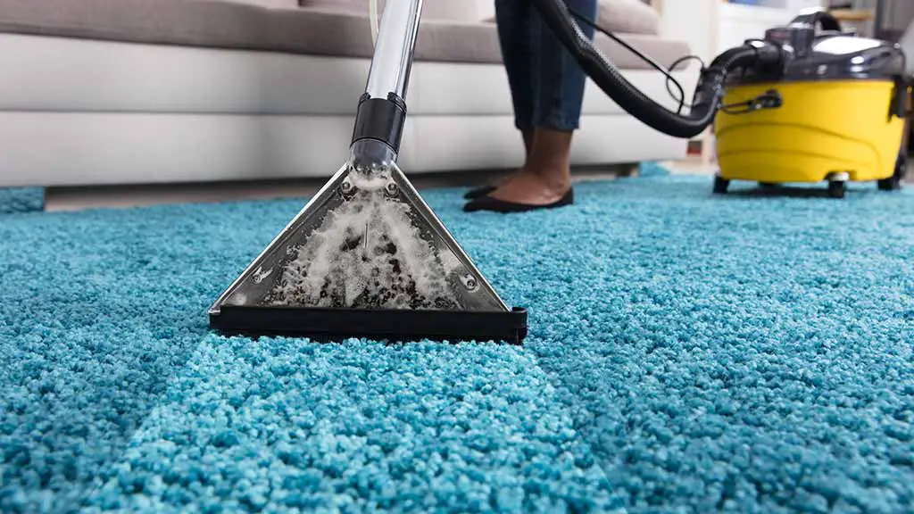 How Carpet Cleaners Work