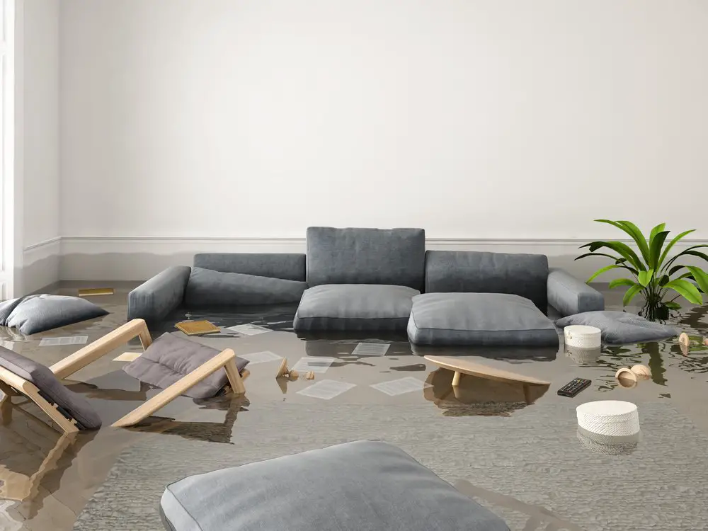 Should Carpet Be Replaced After Water Damage